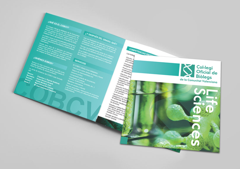 Catalogo para piezas de bisutería de Peguimar. Agencia creativa diseño de catálogos en Valencia.